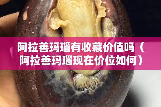 阿拉善瑪瑙有收藏價值嗎（阿拉善瑪瑙現(xiàn)在價位如何）
