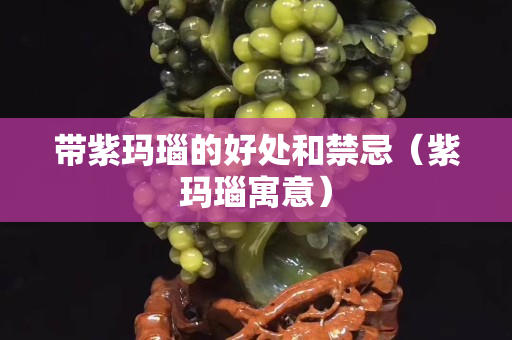 帶紫瑪瑙的好處和禁忌（紫瑪瑙寓意）