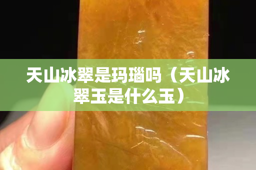 天山冰翠是瑪瑙嗎（天山冰翠玉是什么玉）