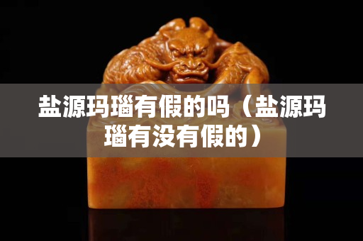 鹽源瑪瑙有假的嗎（鹽源瑪瑙有沒有假的）