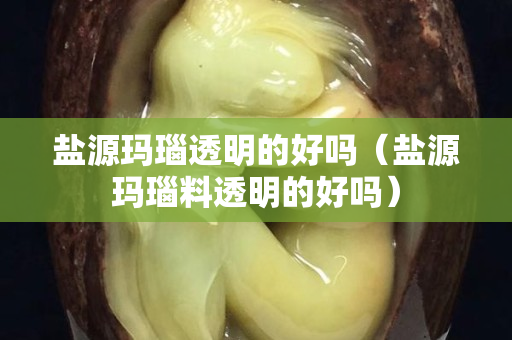 鹽源瑪瑙透明的好嗎（鹽源瑪瑙料透明的好嗎）