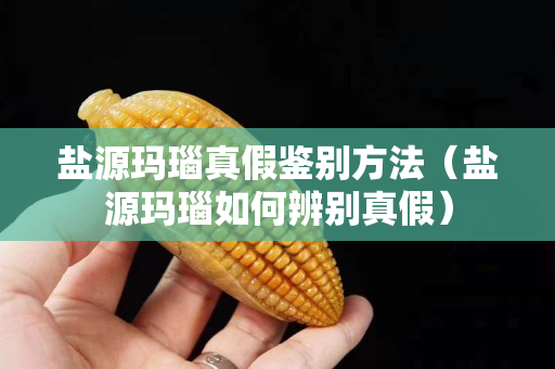 鹽源瑪瑙真假鑒別方法（鹽源瑪瑙如何辨別真假）