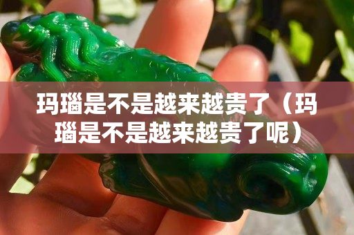 瑪瑙是不是越來越貴了（瑪瑙是不是越來越貴了呢）