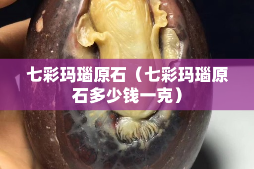 七彩瑪瑙原石（七彩瑪瑙原石多少錢一克）