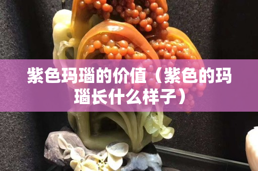 紫色瑪瑙的價值（紫色的瑪瑙長什么樣子）