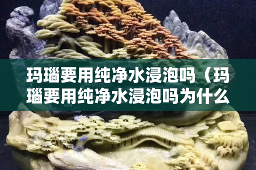 瑪瑙要用純凈水浸泡嗎（瑪瑙要用純凈水浸泡嗎為什么）
