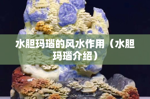 水膽瑪瑙的風水作用（水膽瑪瑙介紹）