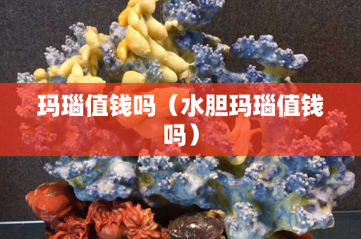 瑪瑙值錢嗎（水膽瑪瑙值錢嗎）