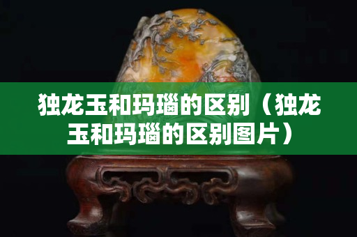 獨(dú)龍玉和瑪瑙的區(qū)別（獨(dú)龍玉和瑪瑙的區(qū)別圖片）