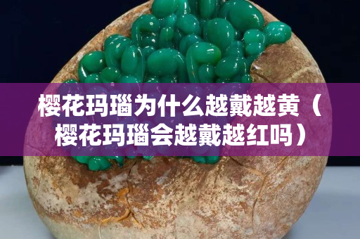 櫻花瑪瑙為什么越戴越黃（櫻花瑪瑙會越戴越紅嗎）