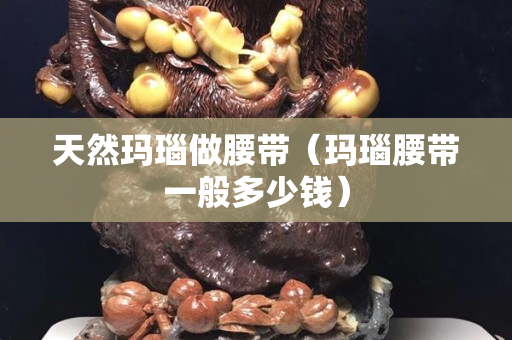 天然瑪瑙做腰帶（瑪瑙腰帶一般多少錢）