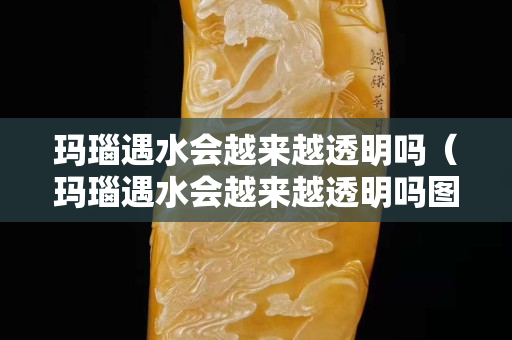瑪瑙遇水會越來越透明嗎（瑪瑙遇水會越來越透明嗎圖片）