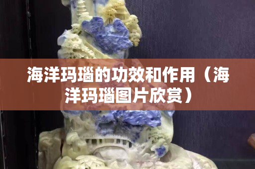 海洋瑪瑙的功效和作用（海洋瑪瑙圖片欣賞）