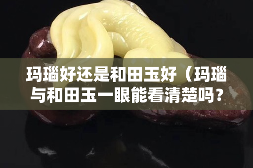 瑪瑙好還是和田玉好（瑪瑙與和田玉一眼能看清楚嗎？）