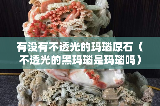 有沒(méi)有不透光的瑪瑙原石（不透光的黑瑪瑙是瑪瑙嗎）
