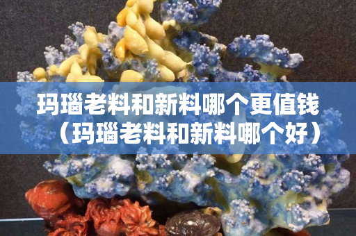 瑪瑙老料和新料哪個更值錢（瑪瑙老料和新料哪個好）