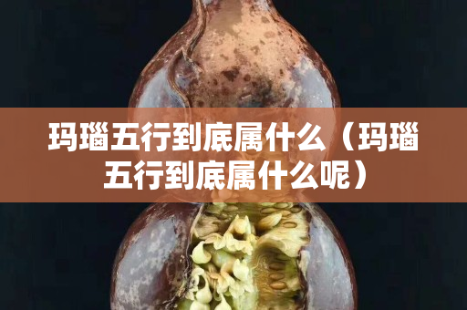 瑪瑙五行到底屬什么（瑪瑙五行到底屬什么呢）