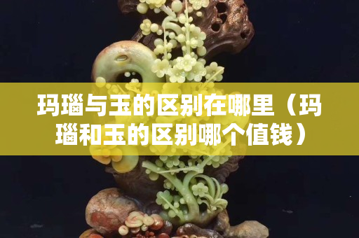 瑪瑙與玉的區別在哪里（瑪瑙和玉的區別哪個值錢）