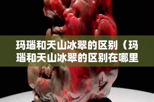 瑪瑙和天山冰翠的區(qū)別（瑪瑙和天山冰翠的區(qū)別在哪里）
