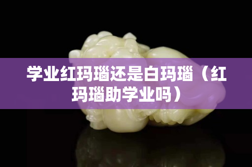 學業紅瑪瑙還是白瑪瑙（紅瑪瑙助學業嗎）