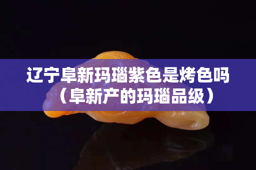遼寧阜新瑪瑙紫色是烤色嗎（阜新產的瑪瑙品級）
