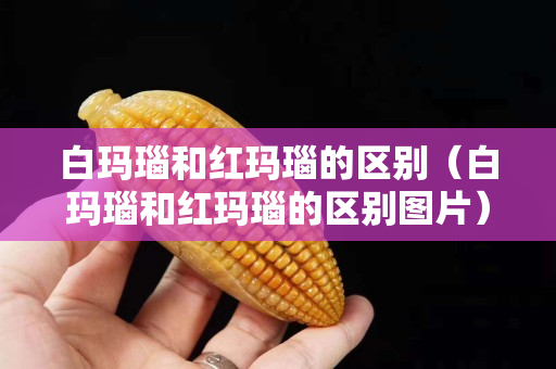 白瑪瑙和紅瑪瑙的區別（白瑪瑙和紅瑪瑙的區別圖片）