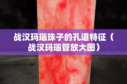 戰漢瑪瑙珠子的孔道特征（戰漢瑪瑙管放大圖）