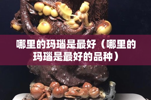 哪里的瑪瑙是最好（哪里的瑪瑙是最好的品種）