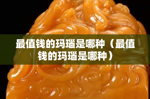 最值錢的瑪瑙是哪種（最值錢的瑪瑙是哪種）