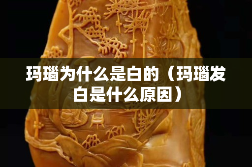 瑪瑙為什么是白的（瑪瑙發白是什么原因）