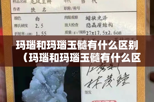 瑪瑙和瑪瑙玉髓有什么區(qū)別（瑪瑙和瑪瑙玉髓有什么區(qū)別呢）