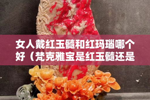 女人戴紅玉髓和紅瑪瑙哪個(gè)好（梵克雅寶是紅玉髓還是紅瑪瑙）
