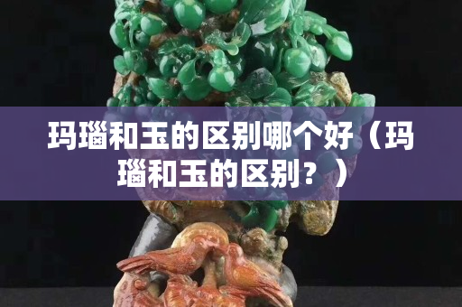 瑪瑙和玉的區別哪個好（瑪瑙和玉的區別？）