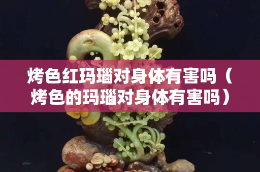 烤色紅瑪瑙對身體有害嗎（烤色的瑪瑙對身體有害嗎）