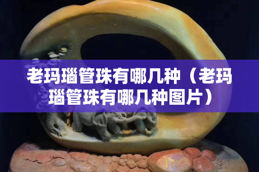 老瑪瑙管珠有哪幾種（老瑪瑙管珠有哪幾種圖片）