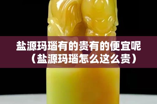 鹽源瑪瑙有的貴有的便宜呢（鹽源瑪瑙怎么這么貴）