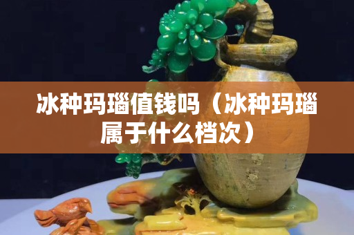冰種瑪瑙值錢嗎（冰種瑪瑙屬于什么檔次）