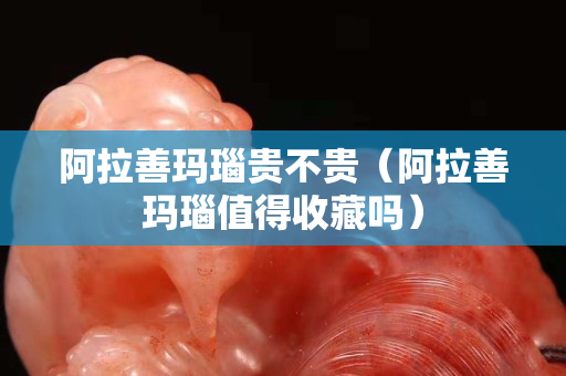 阿拉善瑪瑙貴不貴（阿拉善瑪瑙值得收藏嗎）