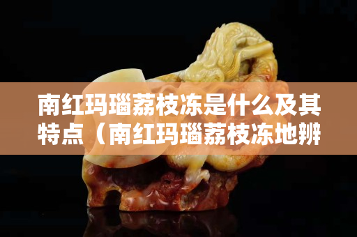 南紅瑪瑙荔枝凍是什么及其特點（南紅瑪瑙荔枝凍地辨別真假）