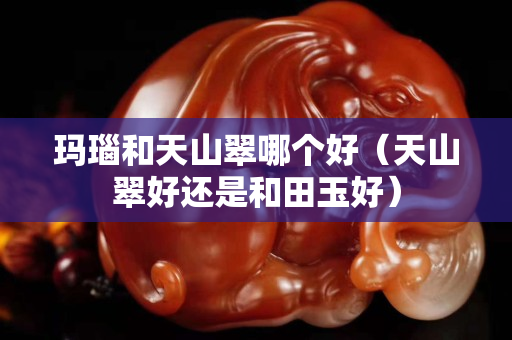 瑪瑙和天山翠哪個(gè)好（天山翠好還是和田玉好）
