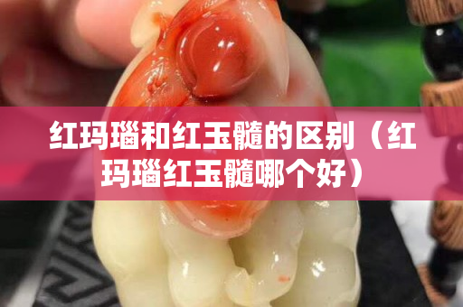 紅瑪瑙和紅玉髓的區別（紅瑪瑙紅玉髓哪個好）
