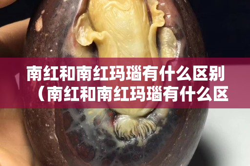 南紅和南紅瑪瑙有什么區別（南紅和南紅瑪瑙有什么區別？）