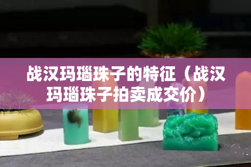戰漢瑪瑙珠子的特征（戰漢瑪瑙珠子拍賣成交價）