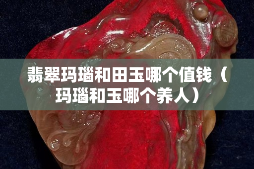 翡翠瑪瑙和田玉哪個(gè)值錢（瑪瑙和玉哪個(gè)養(yǎng)人）