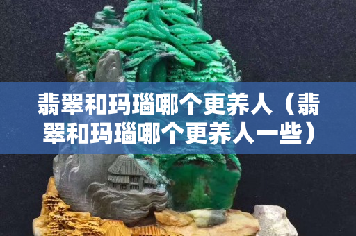 翡翠和瑪瑙哪個更養(yǎng)人（翡翠和瑪瑙哪個更養(yǎng)人一些）