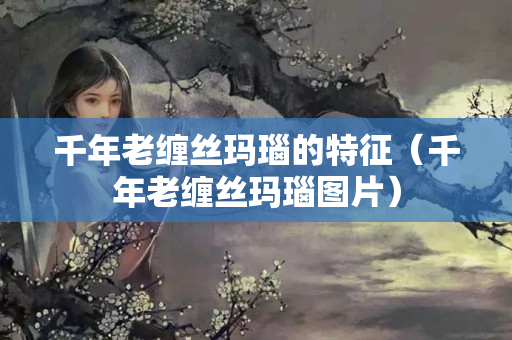 千年老纏絲瑪瑙的特征（千年老纏絲瑪瑙圖片）