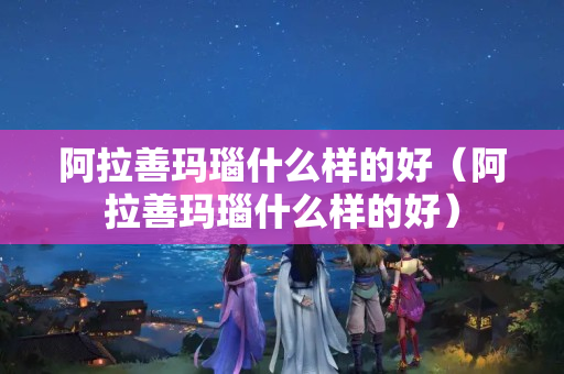 阿拉善瑪瑙什么樣的好（阿拉善瑪瑙什么樣的好）