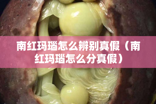 南紅瑪瑙怎么辨別真假（南紅瑪瑙怎么分真假）