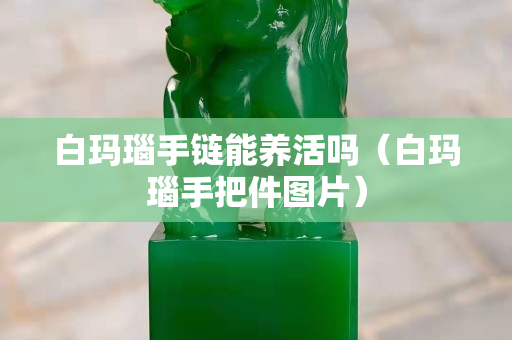 白瑪瑙手鏈能養活嗎（白瑪瑙手把件圖片）