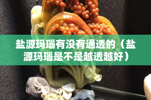 鹽源瑪瑙有沒有通透的（鹽源瑪瑙是不是越透越好）